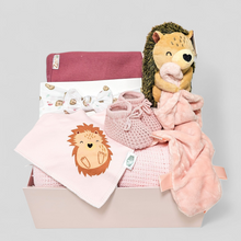 Load image into Gallery viewer, Adorable hedgehog baby girl gift hamper – newborn gift box with sleepsuit, blanket, booties and comforter