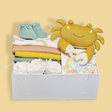 Load image into Gallery viewer, Baby Shower Gift Hamper - New Baby Gifts - Ema and Boo