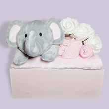 Load image into Gallery viewer, Baby Girl Gift - New Baby Gifts - Ema and Boo