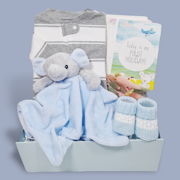 Baby Boy Gift Hamper - Delightful Little Elephant