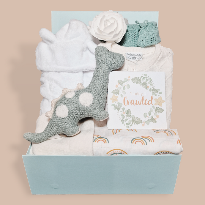 Baby Boy Hamper - New Baby Gifts - Ema and Boo