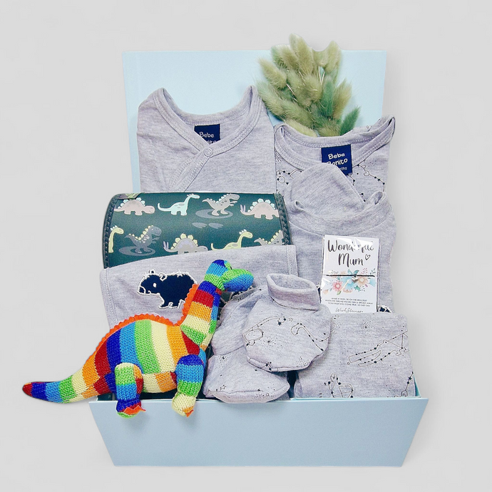 Little Dino Delight Baby Boy Gifts Hamper - Gift Box for a Newborn