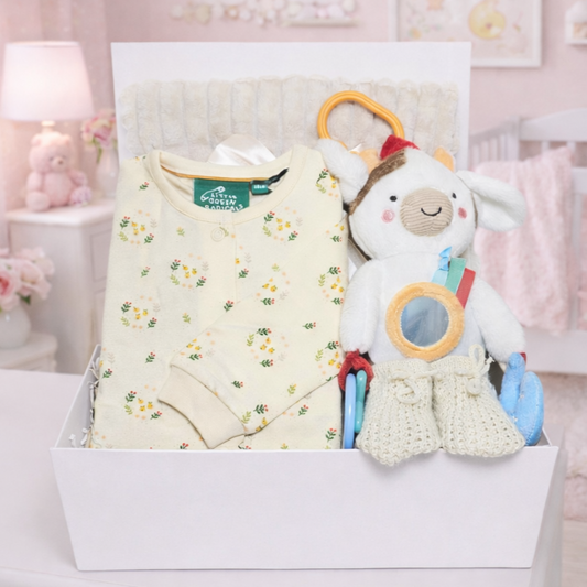 Blossom Dreams Baby Girl Gift Hamper