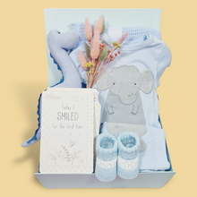 Load image into Gallery viewer,  New Baby Boy Hamper - Gifts for Babies - Ema and Boo
