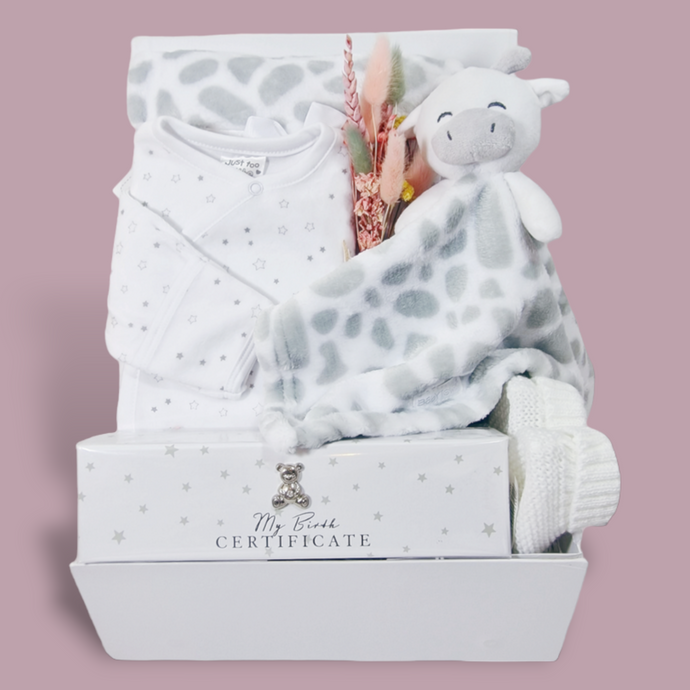New Baby Hamper Gift - New Baby Gift - Ema and Boo
