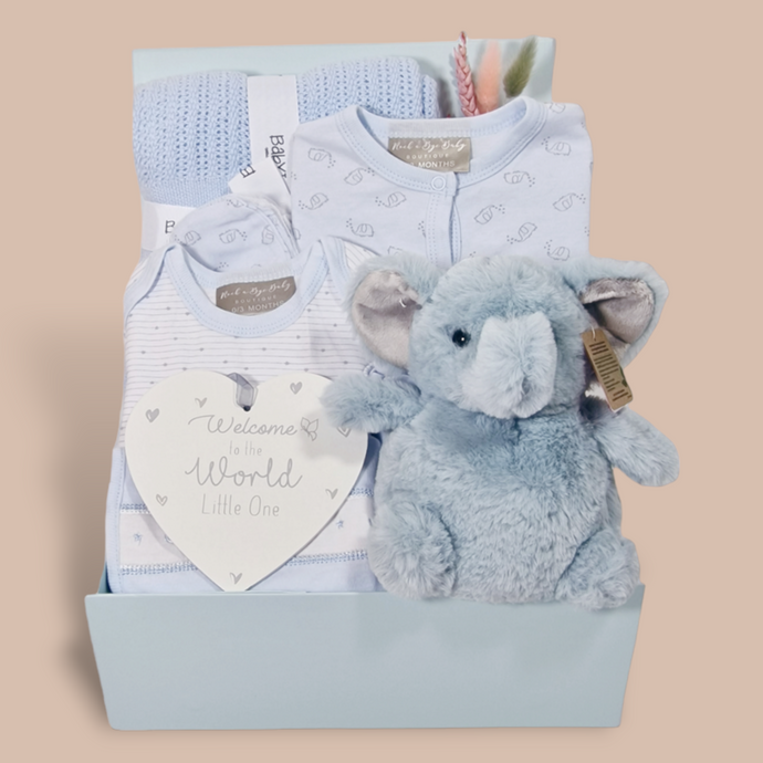 Gift Hamper for Baby Boys - Gifts for Baby Boys