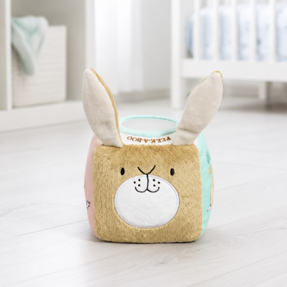 Guess How Much I Love You Activity Cube - Baby Toys
