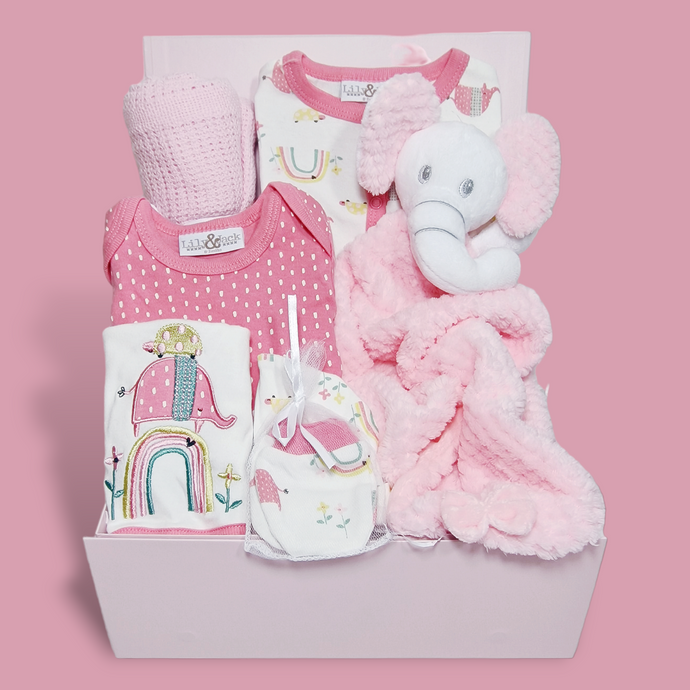 Hamper for Baby Girls - New Baby Gifts