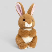 Load image into Gallery viewer, Keel Toys Plush Bunny - Baby Toys
