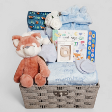 Load image into Gallery viewer, Newborn Gifts - Large Baby Boy Gift Basket - Ema and Boo
