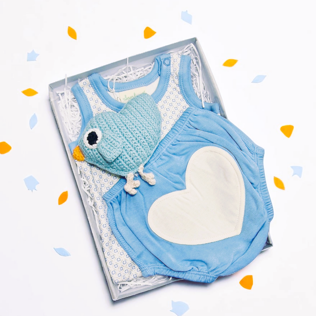 Little Bird Baby Boy Gift Box