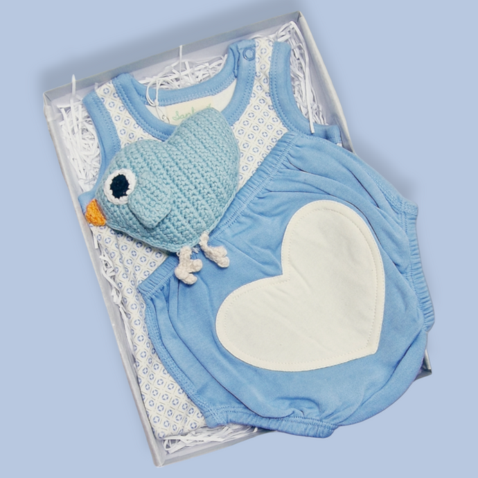 Gifts for Baby Boy - Small Baby Hamper - Ema and Boo