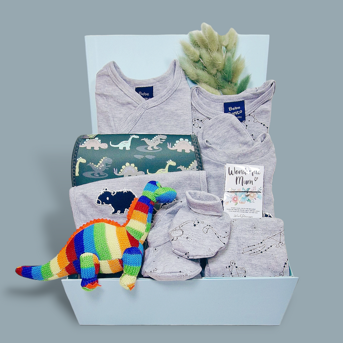 Baby Boy Hamper Gift - Gifts for Babies