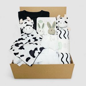 Ema and Boo - Sensory Baby Gift Box