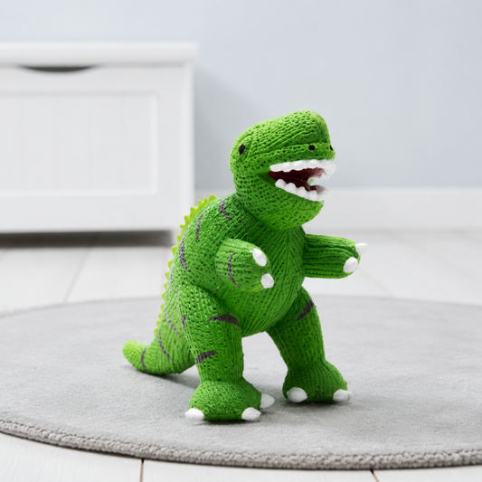 Green T-Rex natural rubber dinosaur baby teether and bath toy