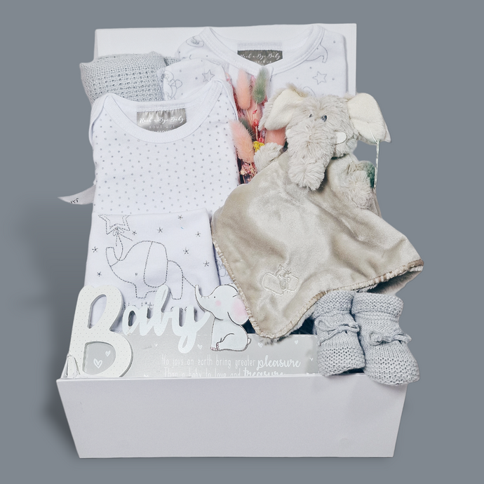 Neutral Baby Gift Hamper - Unisex Baby Gifts