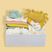 Load image into Gallery viewer, Baby Shower Gift Hamper - New Baby Gifts - Ema and Boo
