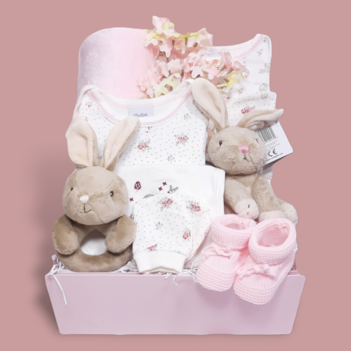 New Baby Girl Hamper - Baby Girl Gift Baskets