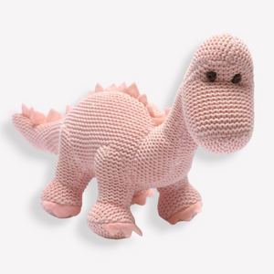 New Baby Girl Gifts - Pink Frills and Dino Thrills