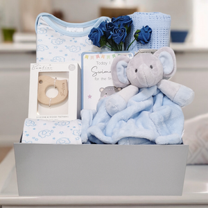 Little Elephant Dreamer - Baby Boy Gift Hamper