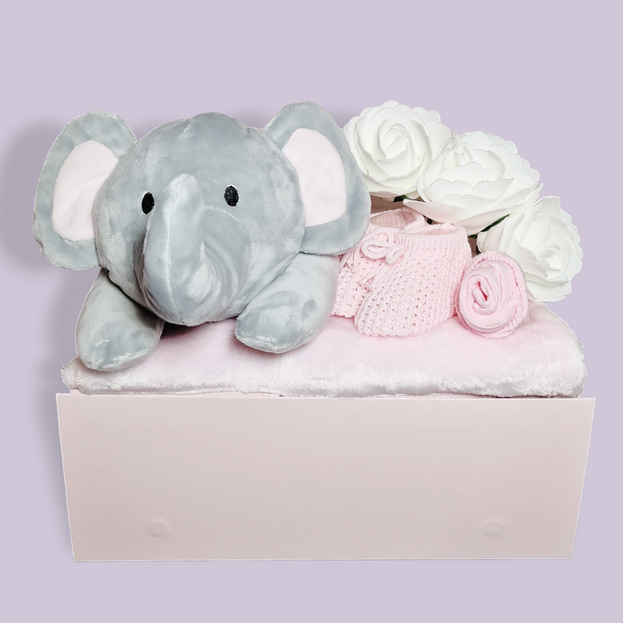 Baby Girl Gift - New Baby Gifts - Ema and Boo
