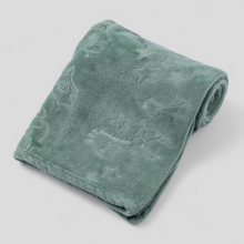 Load image into Gallery viewer, Blanket for babies unisex sage plush
