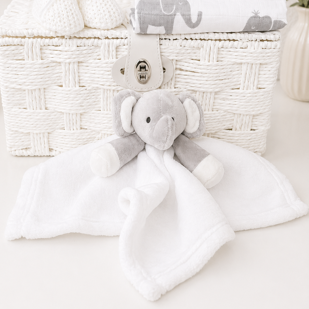 White Plush Baby Comforter - Newborn Gift - Ema and Boo