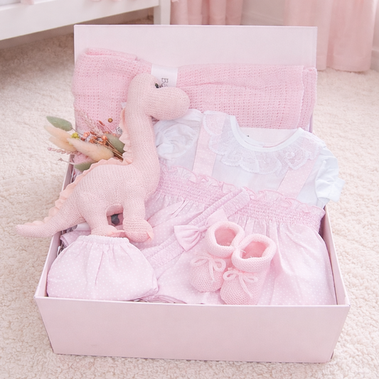 Pink baby gift set with a toy, dress, and booties - baby girl gift box pink frills dino thrills newborn gift