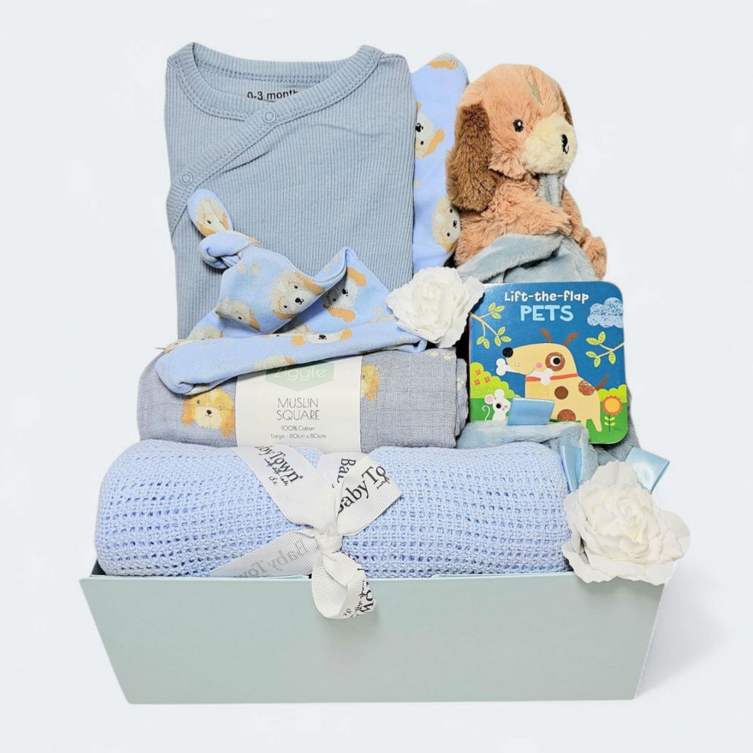 Little Paws Baby Boy Gifts Box