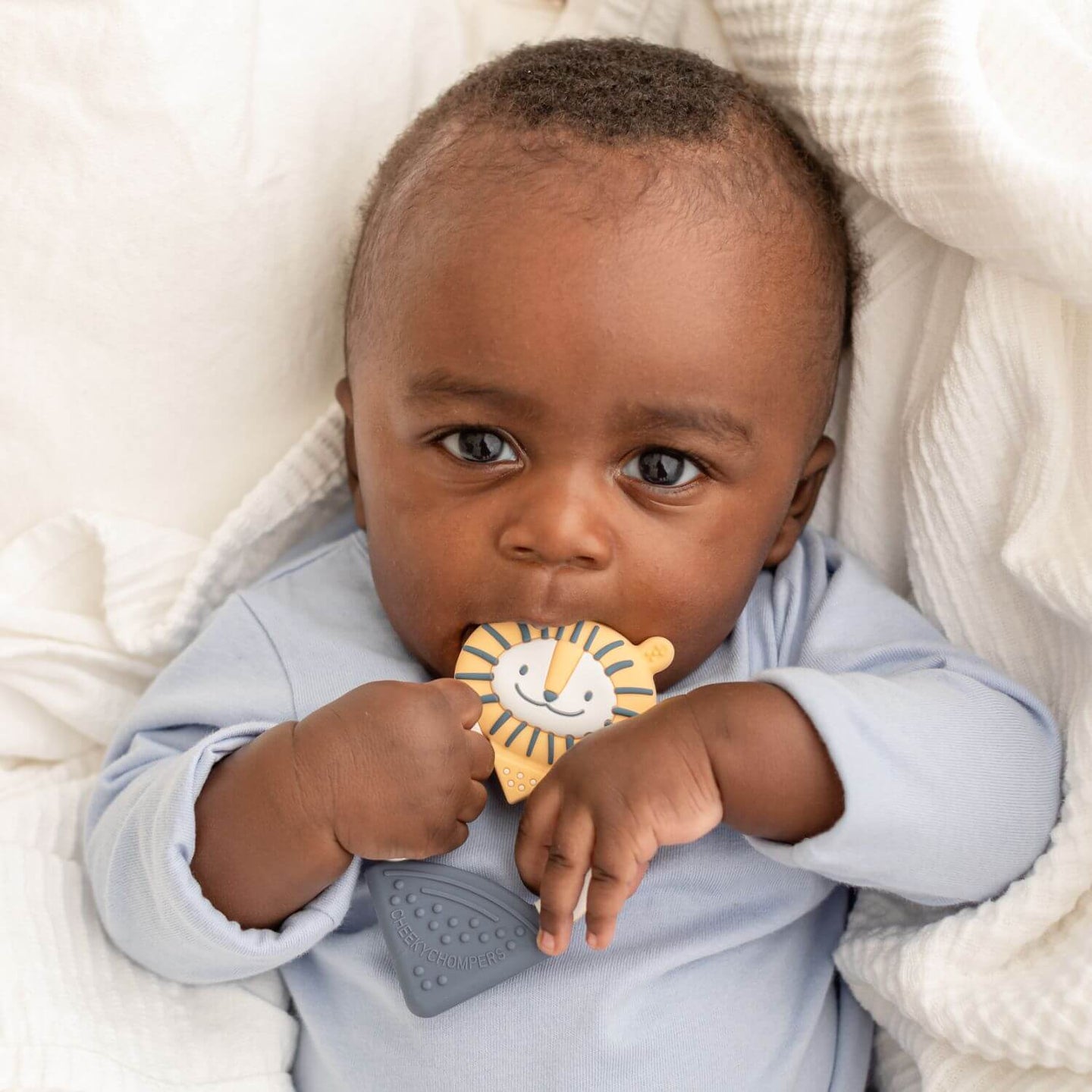 Bertie the Lion Teether - Textured Baby Teether