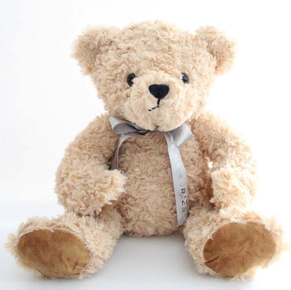 Gorgeous Soft to Cuddle Smart Gift Teddy Bears - Luna